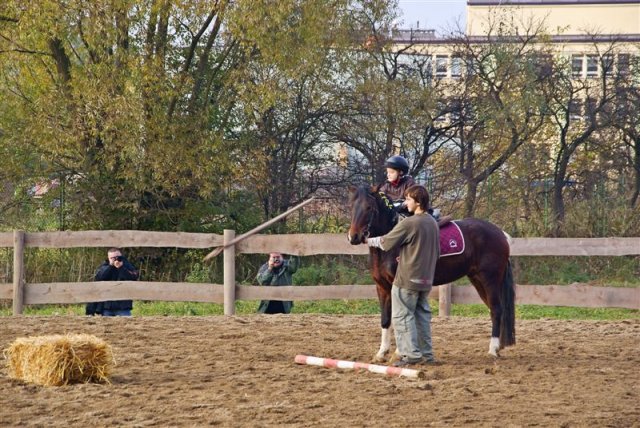 Hubertus 2009